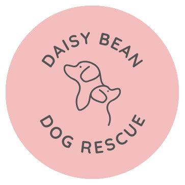 daisy bean|daisy bean rescue.